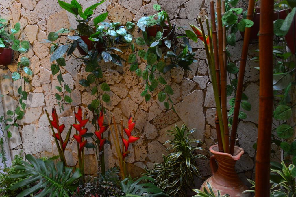 Hotel Torre Del Reloj Cartagena 外观 照片